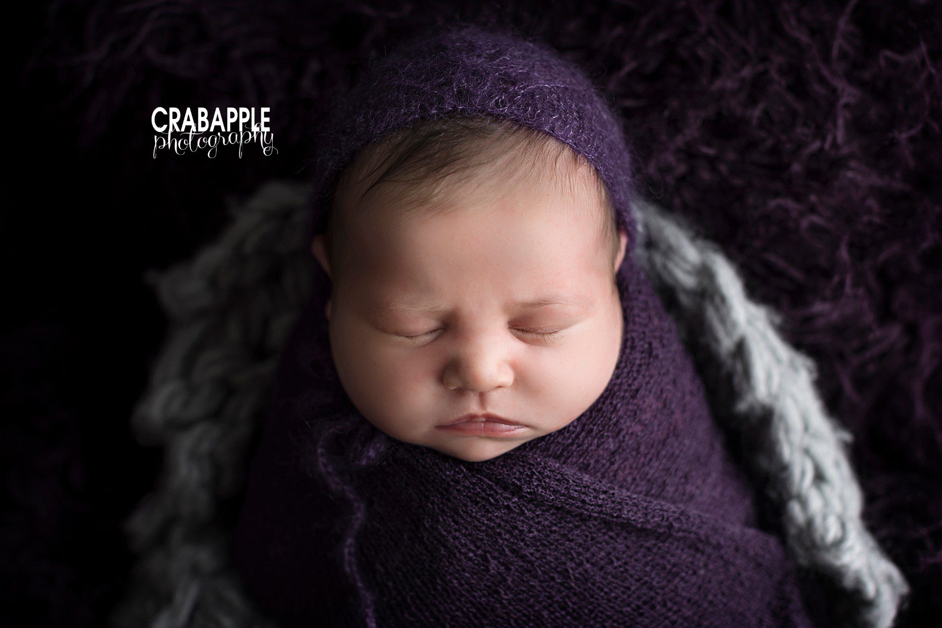 deep purple for newborn pictures