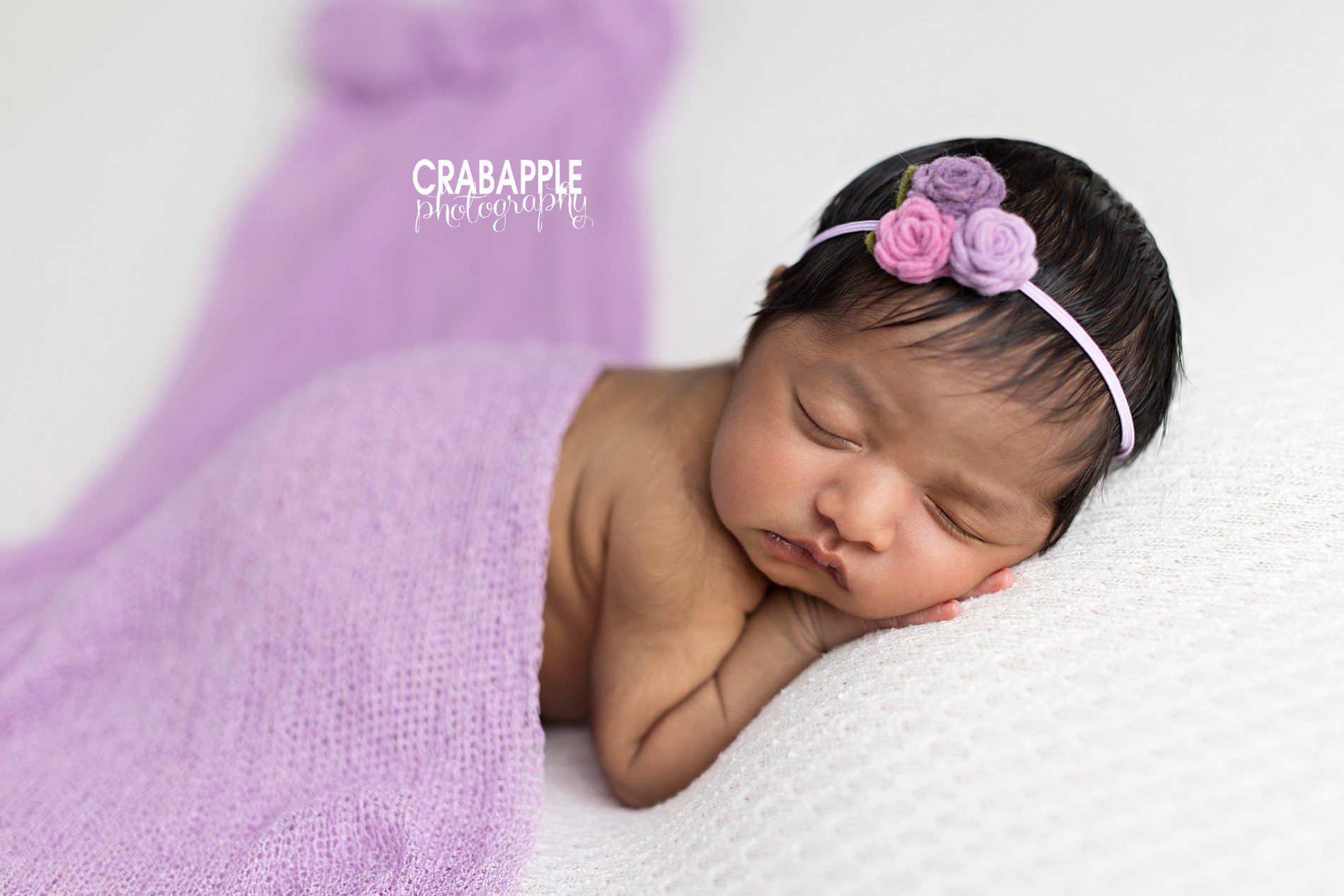 beautiful purple newborn photos
