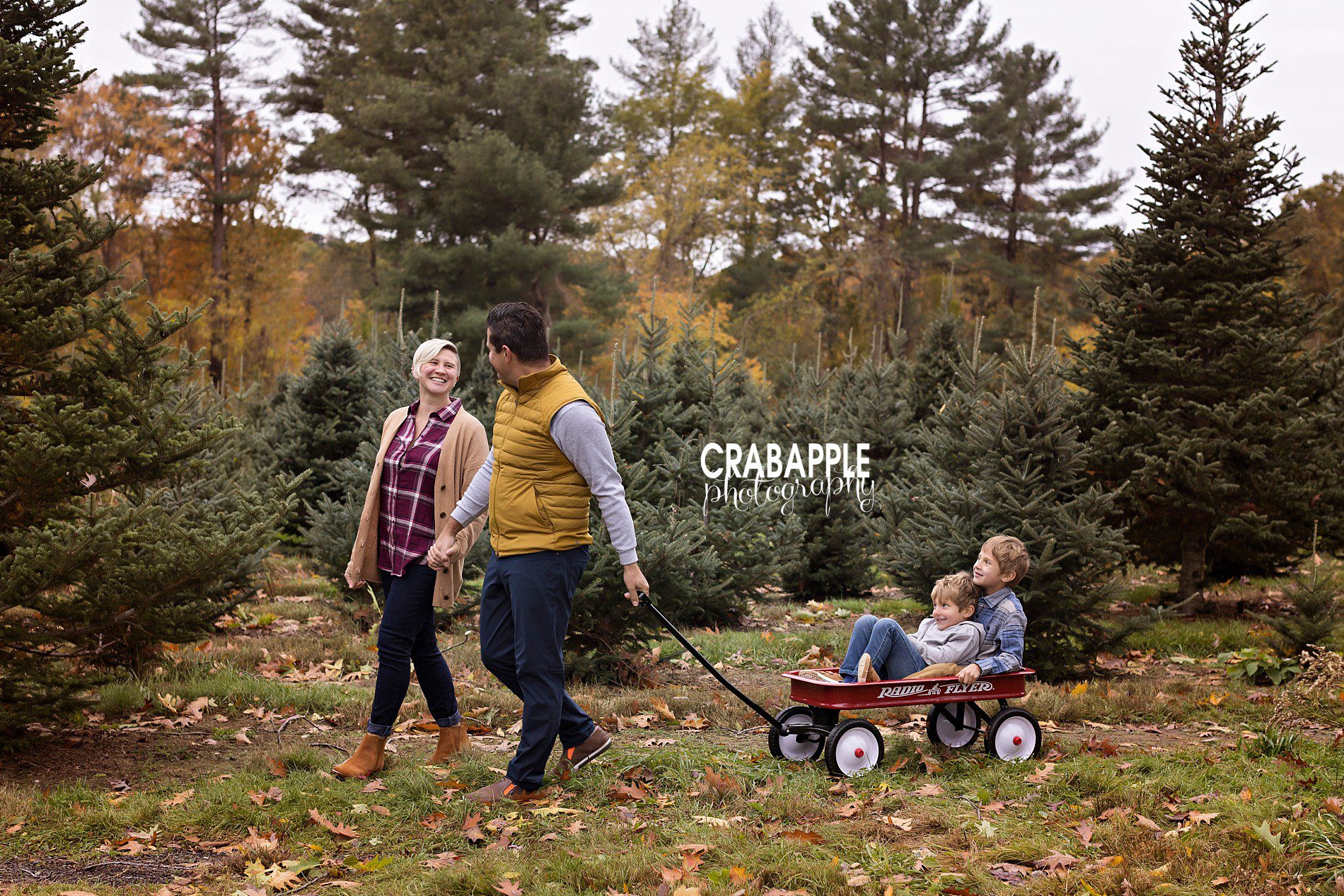 fun tree farm family photos of parents pulling kids in a wagon