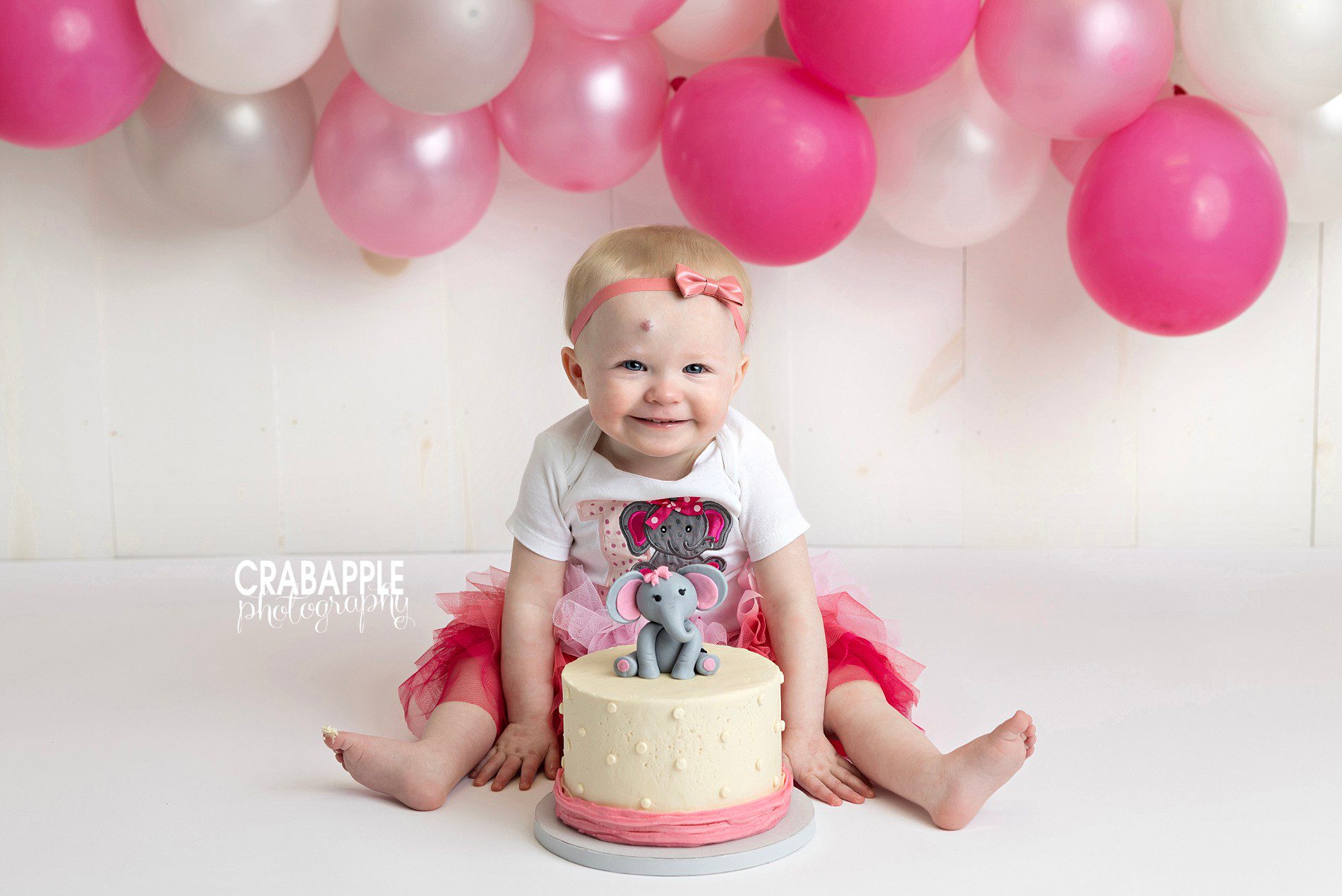 pink elephant cake smash photos