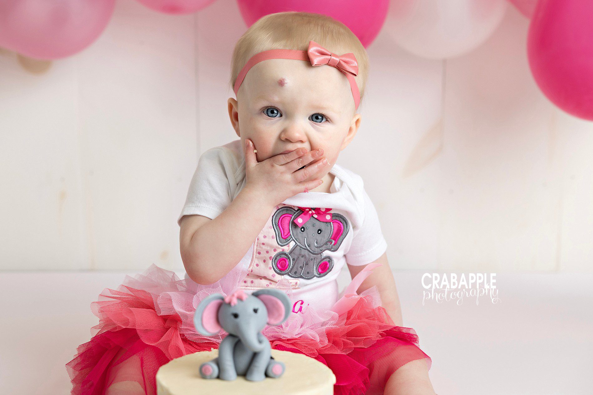 pink elephant cake smash pictures