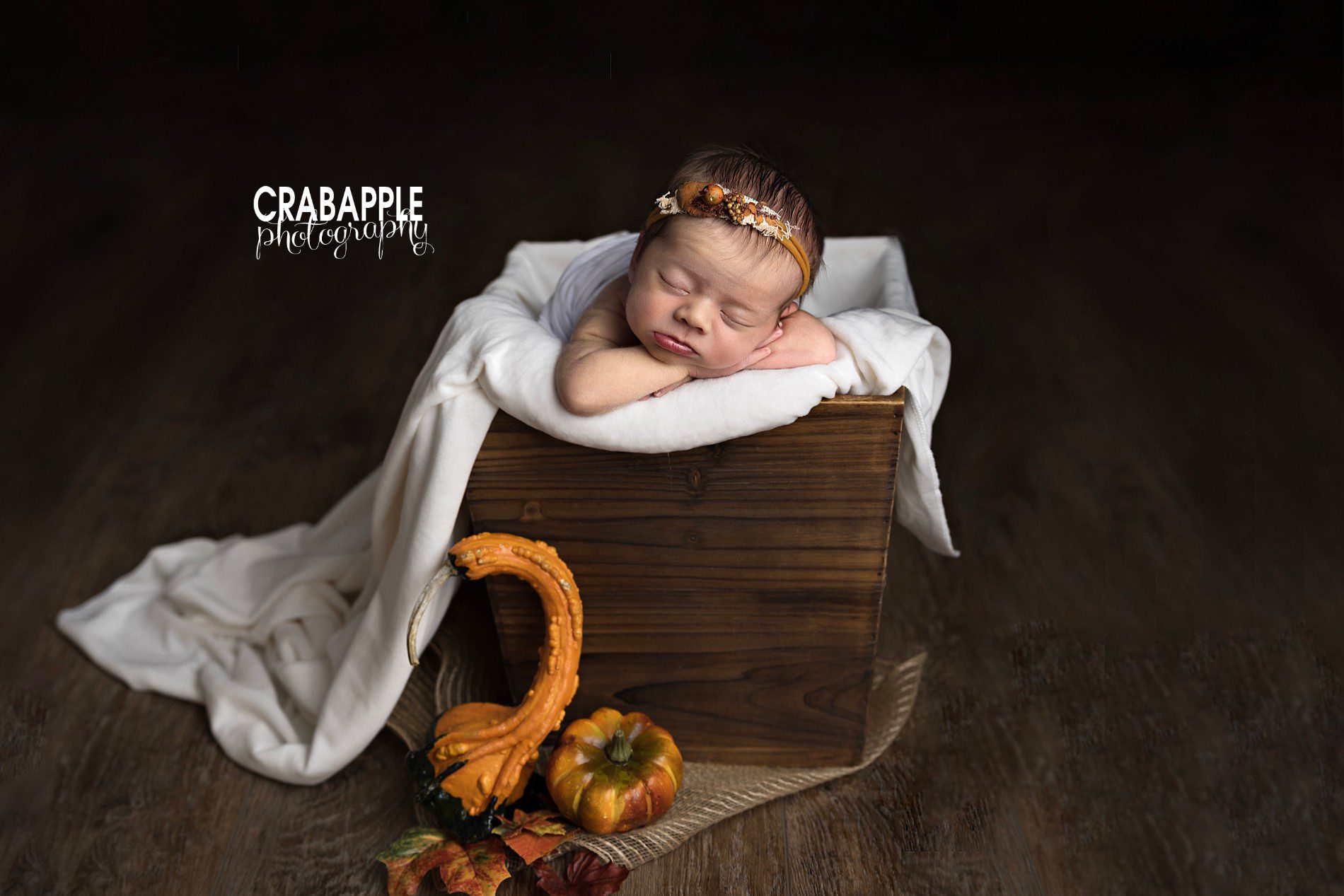 fall themed newborn pictures