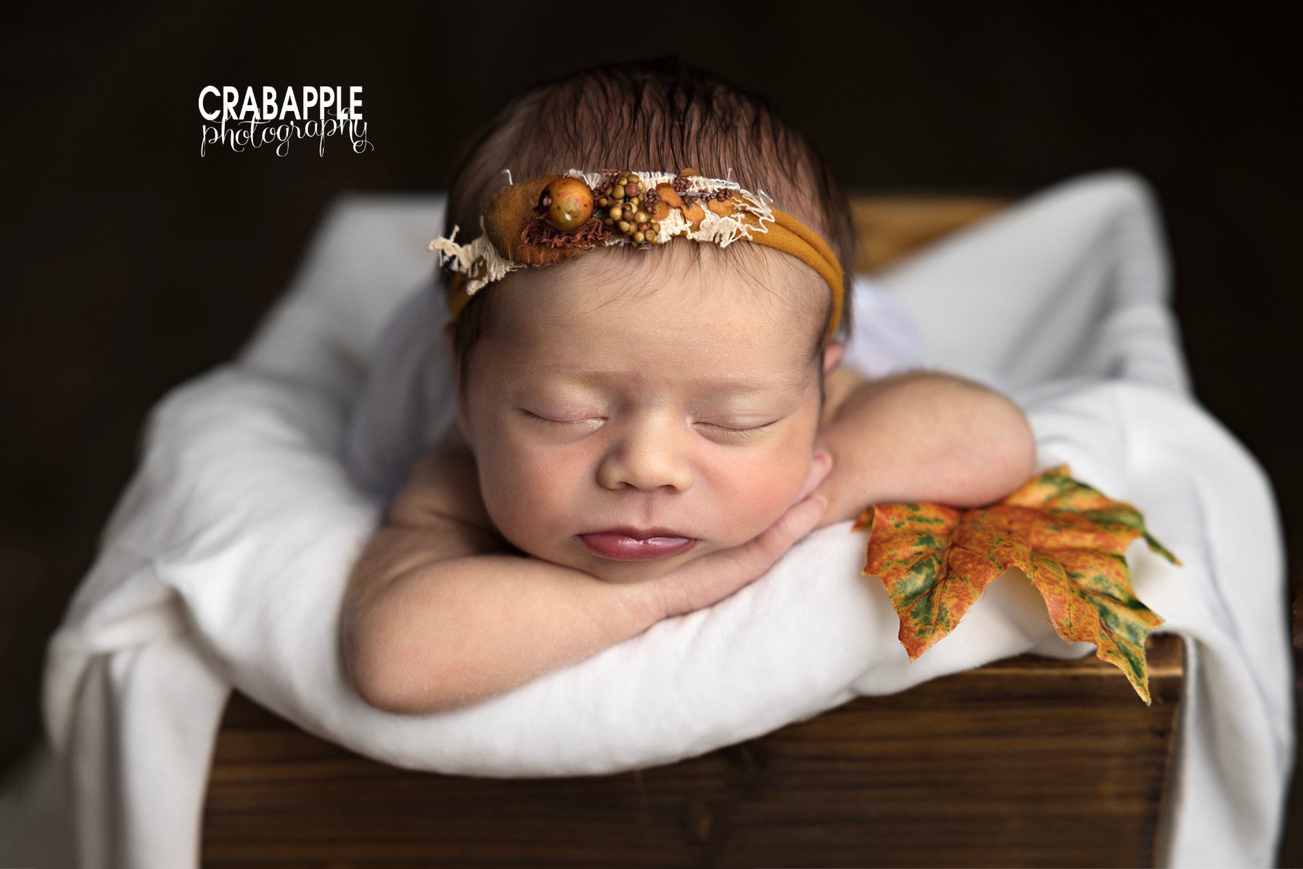 sweet ideas for fall themed newborn portraits