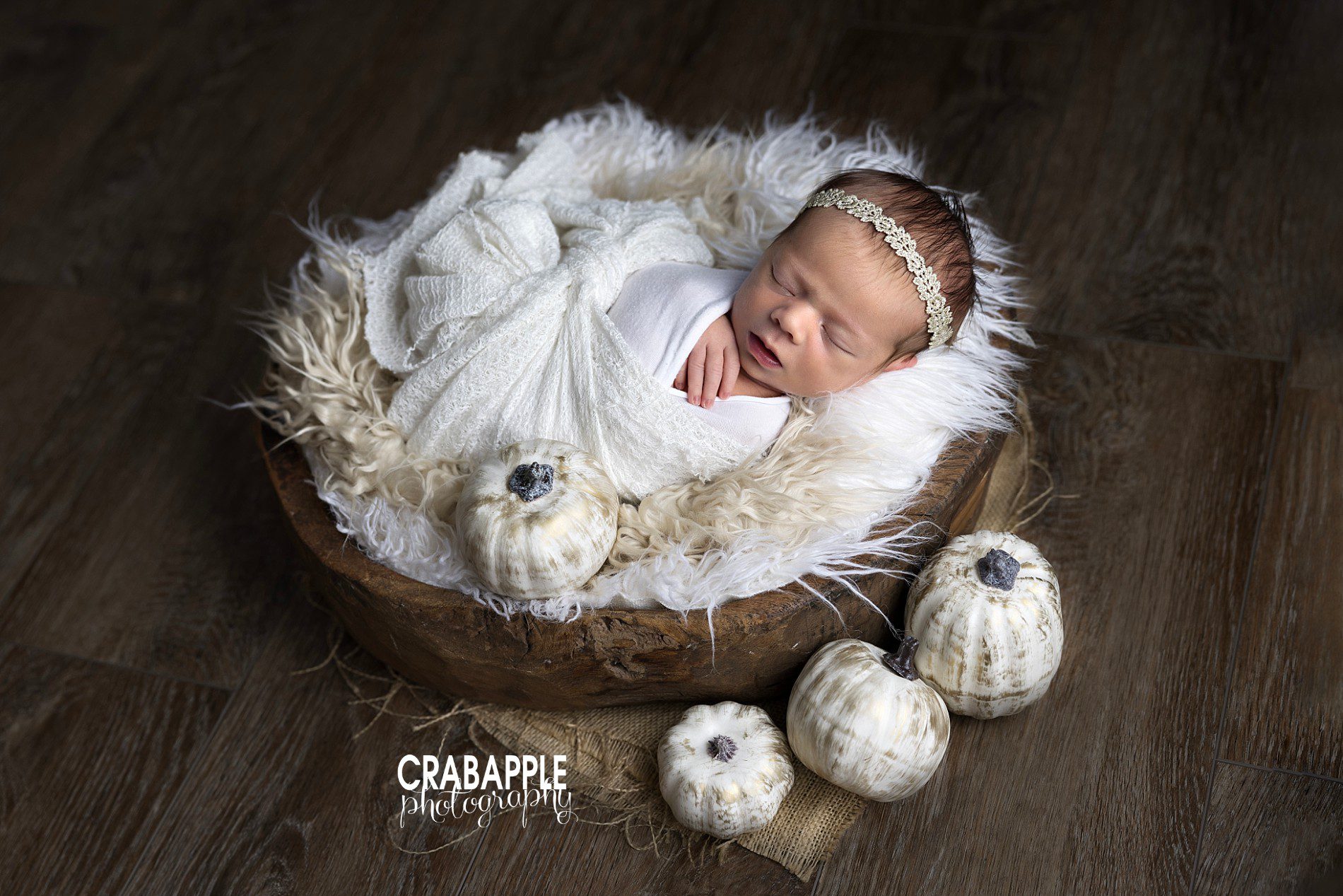 fall newborn pics with white pumpkins