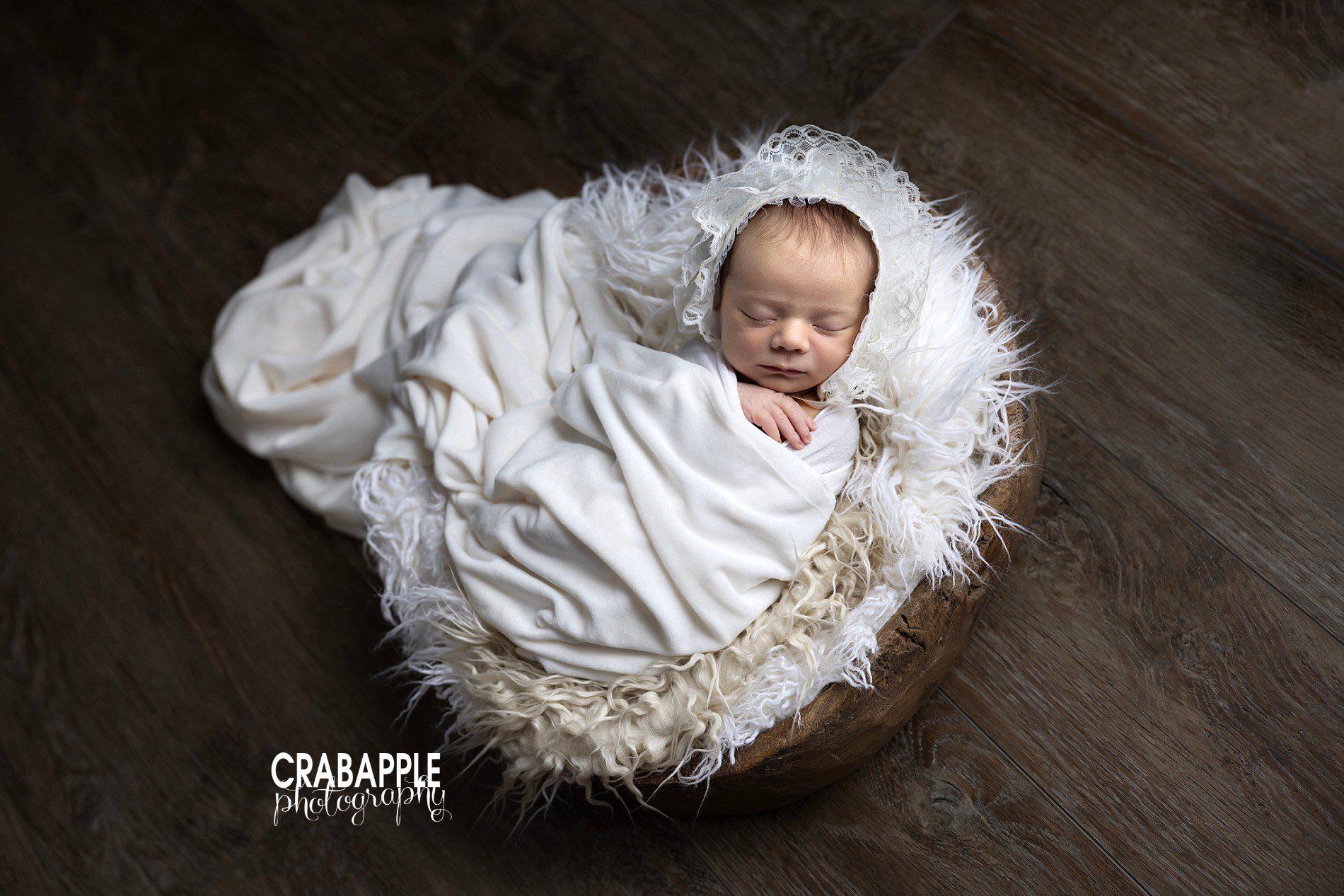 white and brown newborn photos