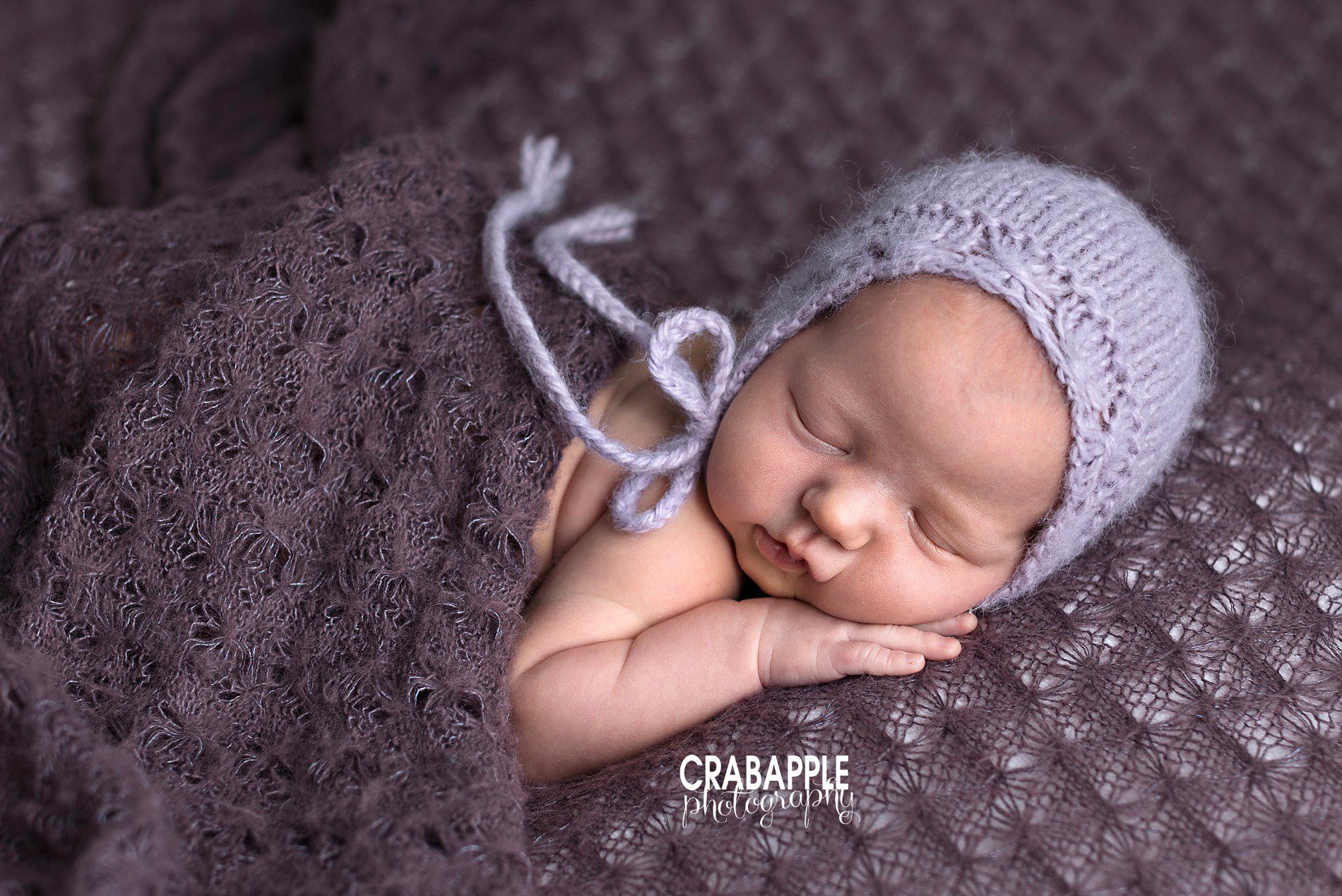purple newborn photo ideas