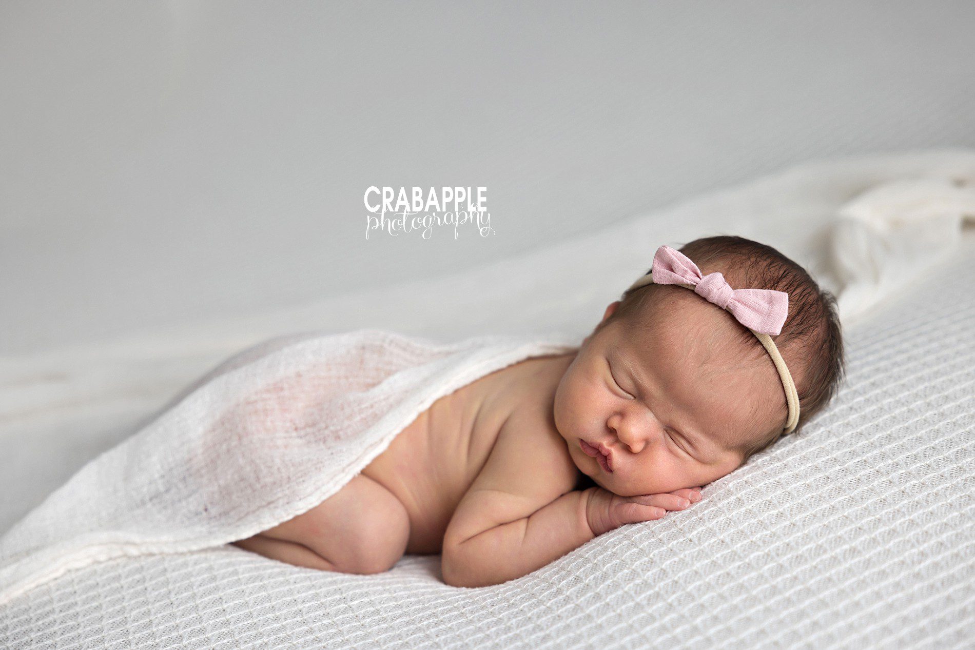 west newton newborn photography