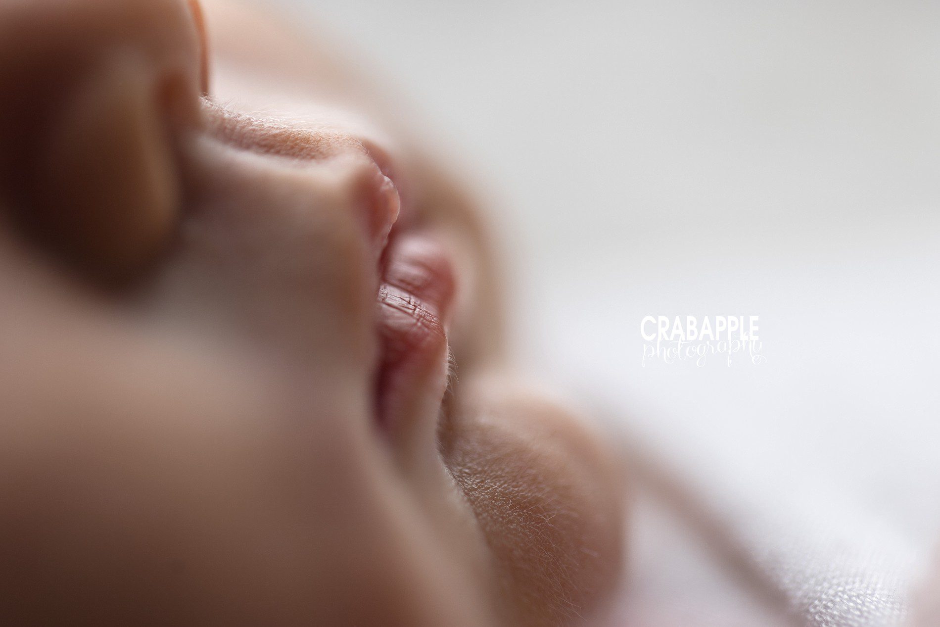 newborn portrait ideas detail close up