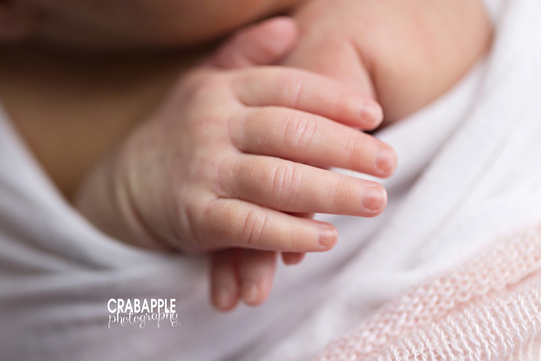 detail close up hand newborn photos