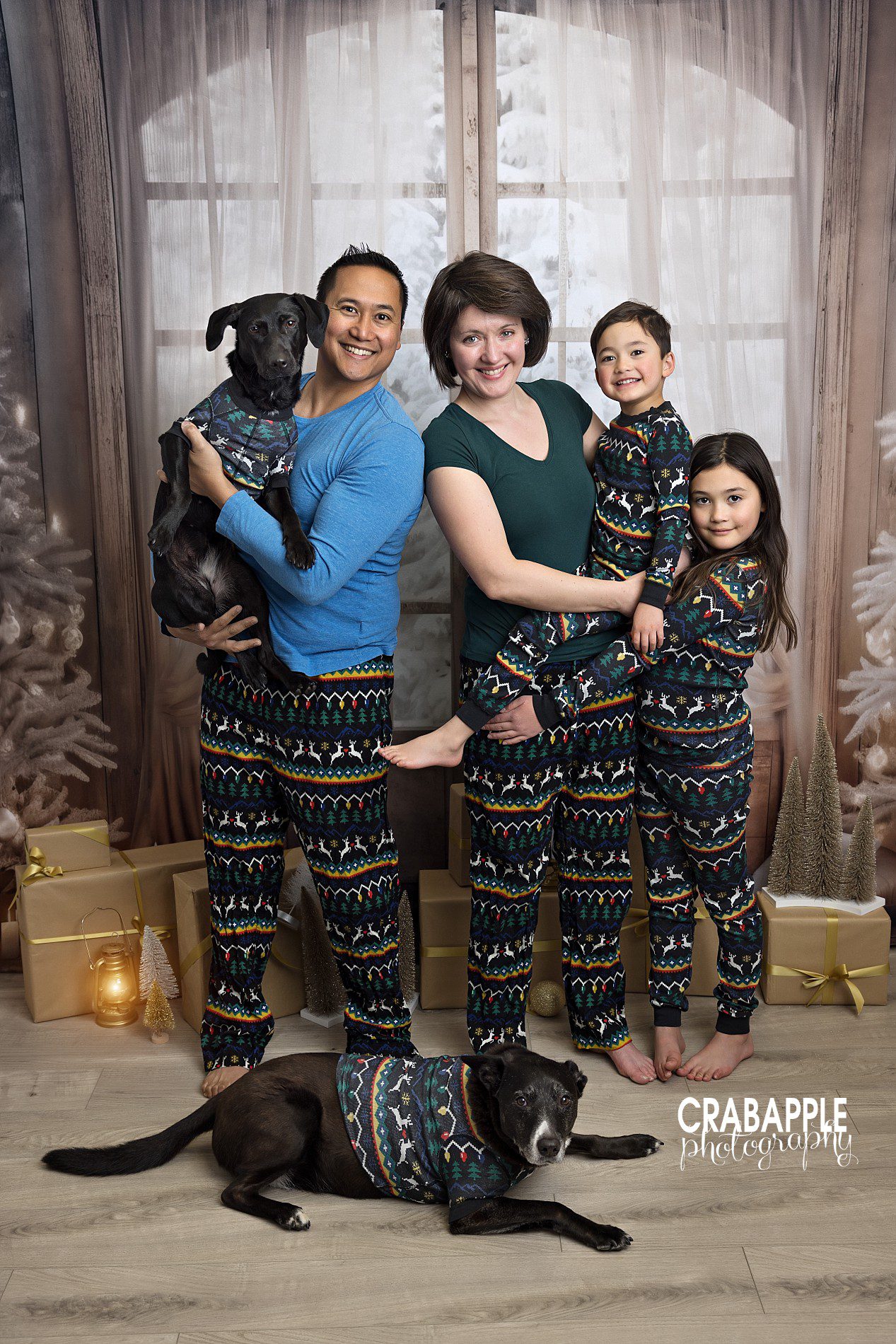 including dogs in holiday family photos