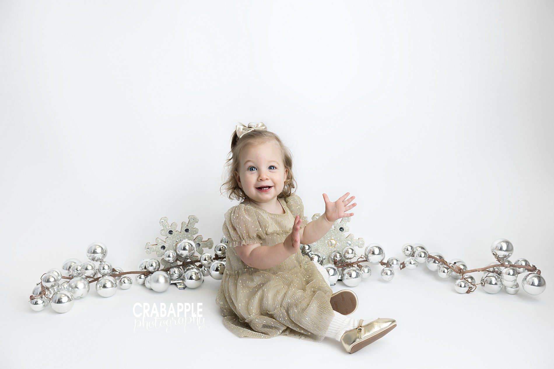 white and silver photo ideas for holidays