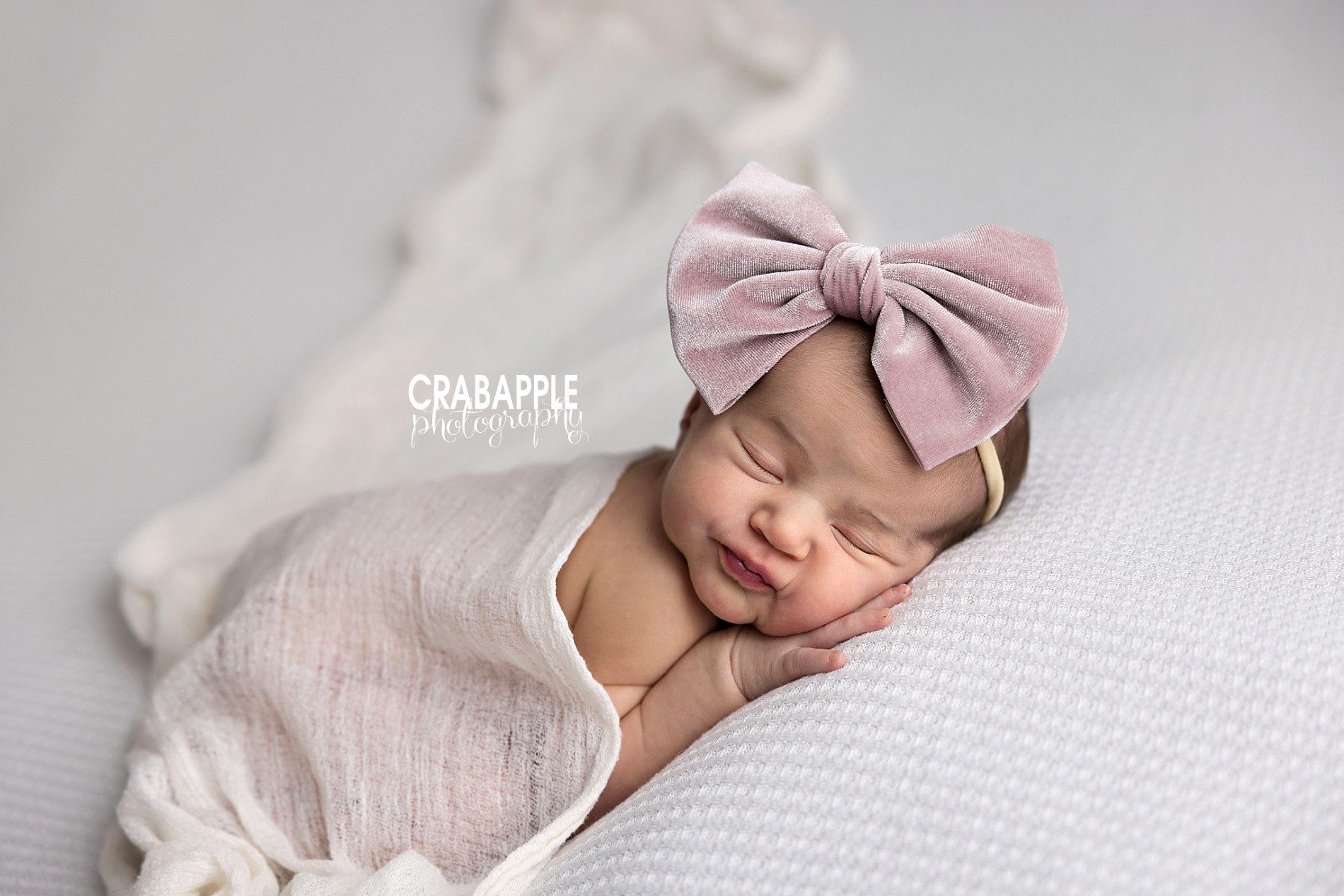 simple newborn photos with big velvet bow