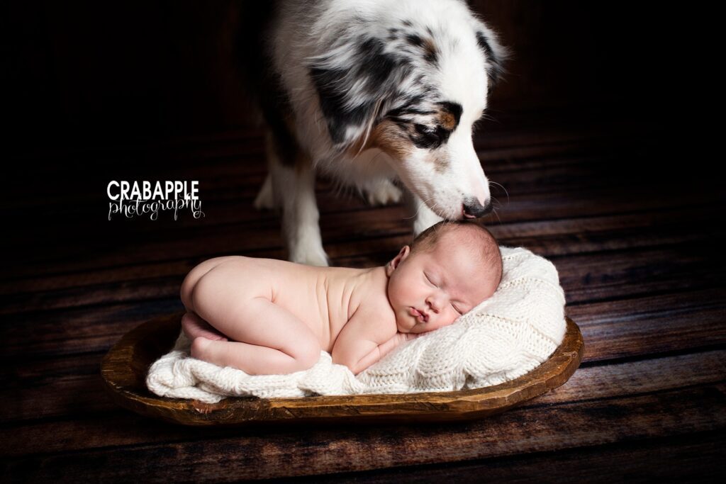 Newborn with fluffy dog cuddled on white blanket 