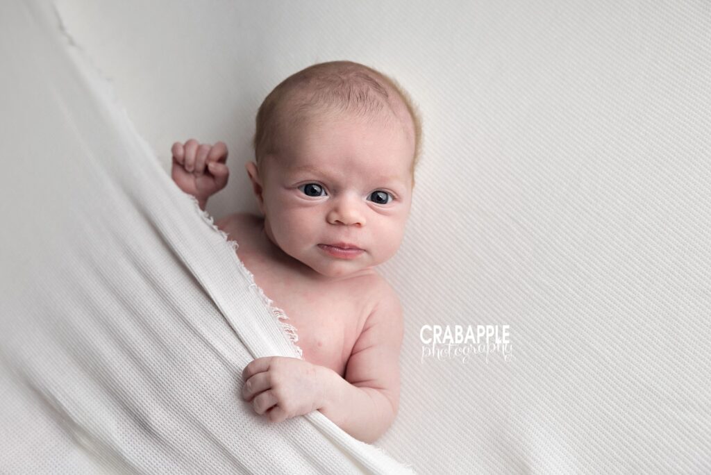 Awake Newborn Portrait Wide-eyed newborn baby making eye contact during a natural photography session