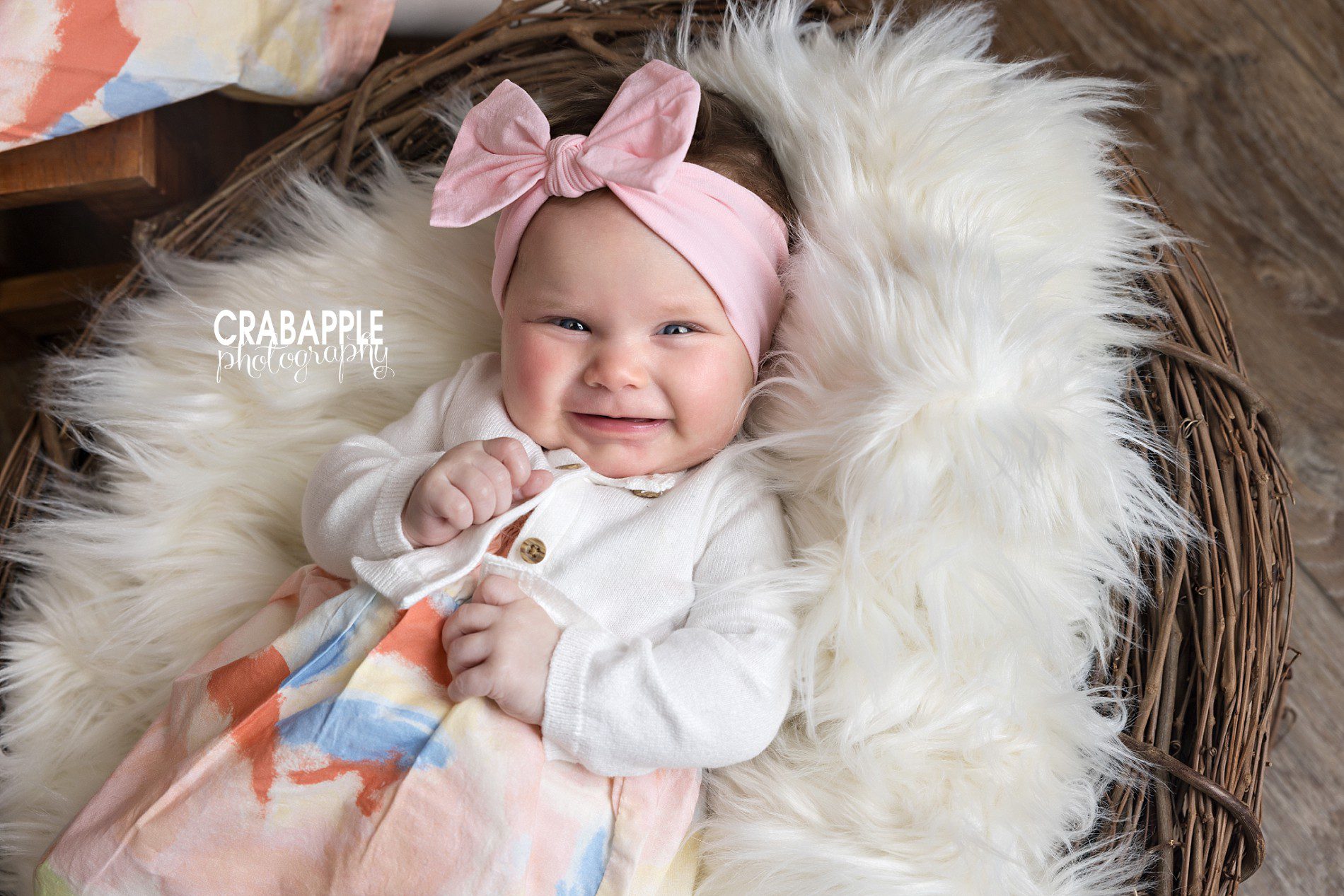 baby photos andover ma