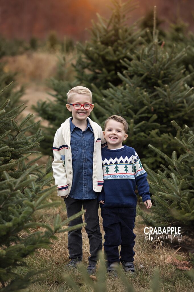 Siblings holding hands among evergreen trees
