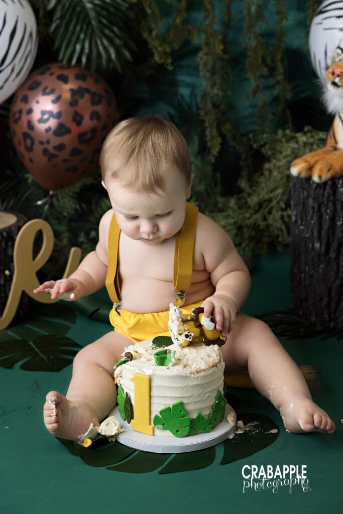 King of the jungle cake smash session Baby boy takes the lion shaped cake topper off of his cake during Andover MA king of the jungle cake smash session