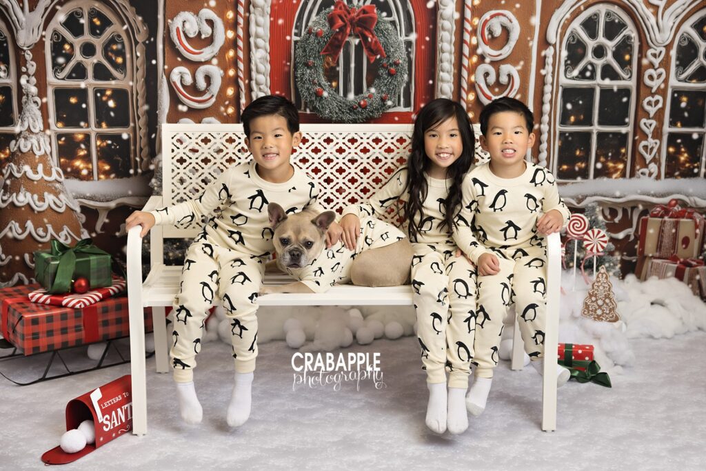 Fun matching penguin pajamas for siblings and dog during family Christmas photos
