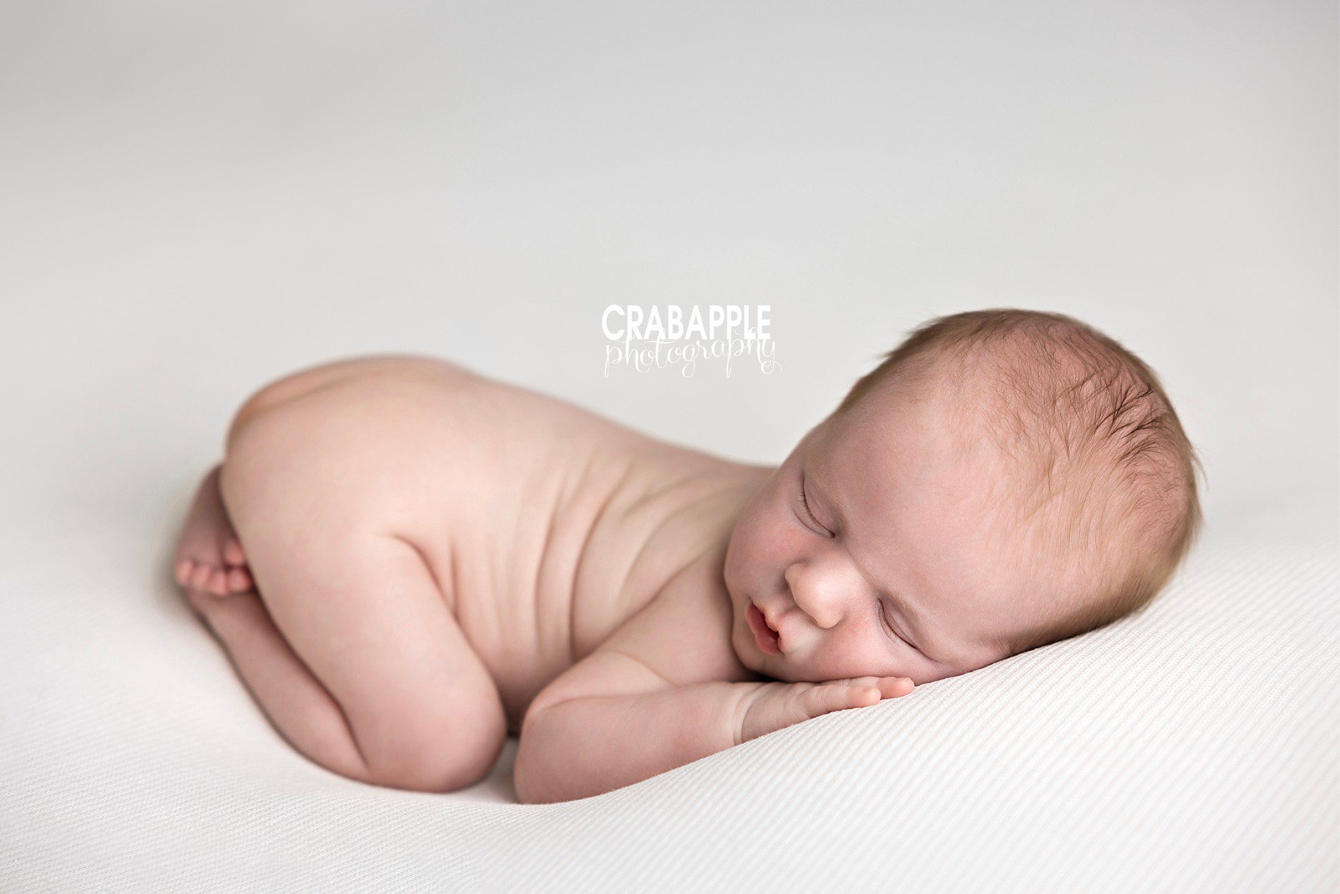 Simple newborn portrait on white backdrop | Studio newborn photography Andover
