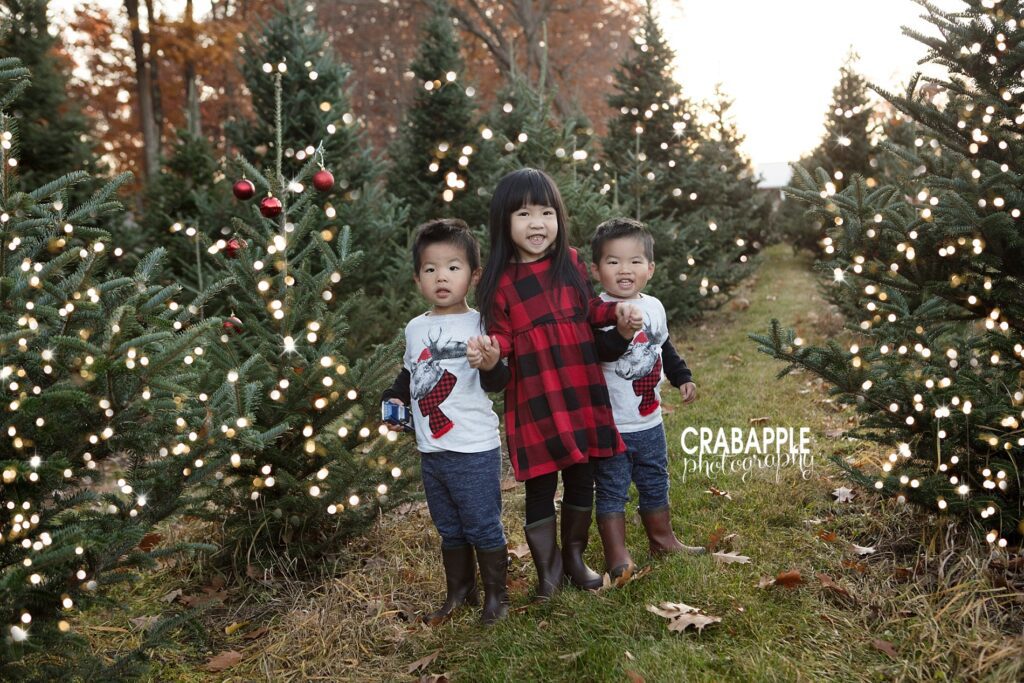 Three siblings at the Christmas tree farm in coordinating winter clothing during holiday photos.
