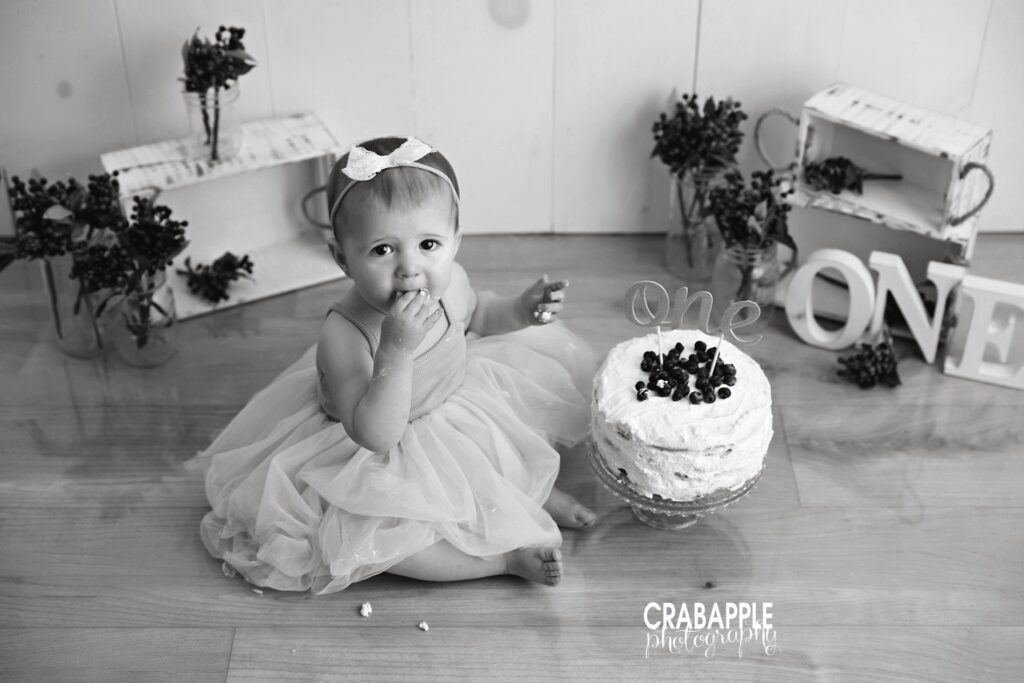 First birthday baby pictures cake smash Baby pictures celebrating a first birthday with blueberry cake smash