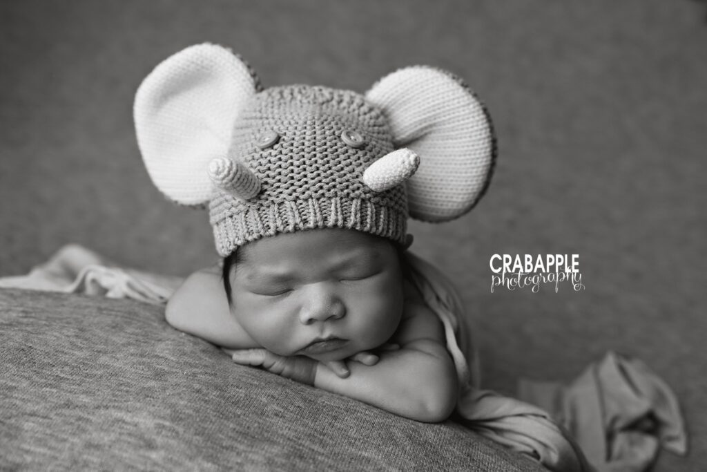 Newborn baby boy wearing an elephant hat during a studio newborn photoshoot in Quincy MA
