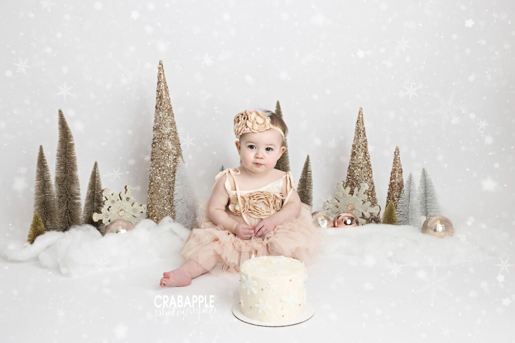 Winter birthday cake smash featuring silver trees and snowflake decor
