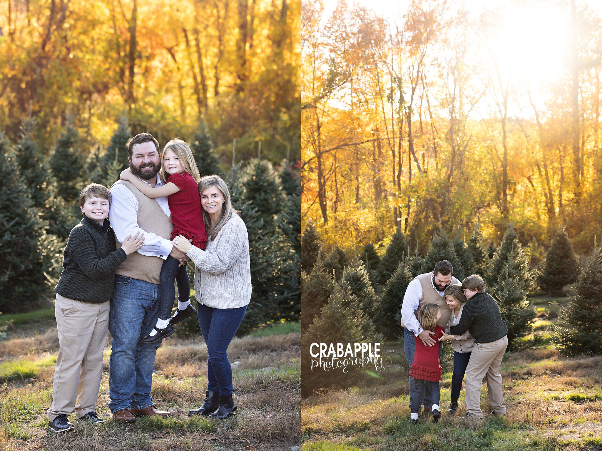 Family portraits at the tree farm Family of four together among the evergreen trees during their fall tree farm photo session