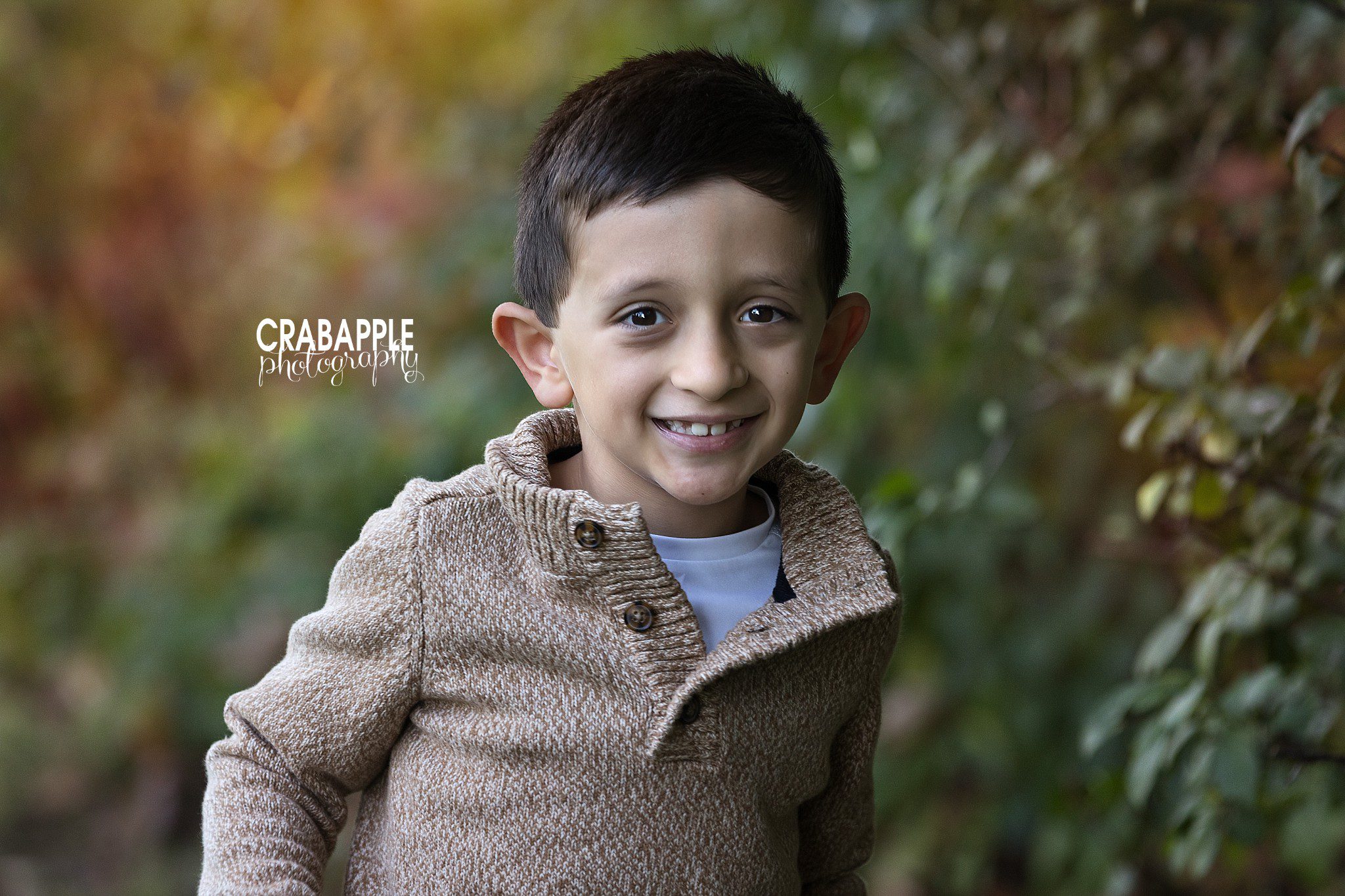 Young boy in a textured sweater during fall family photos