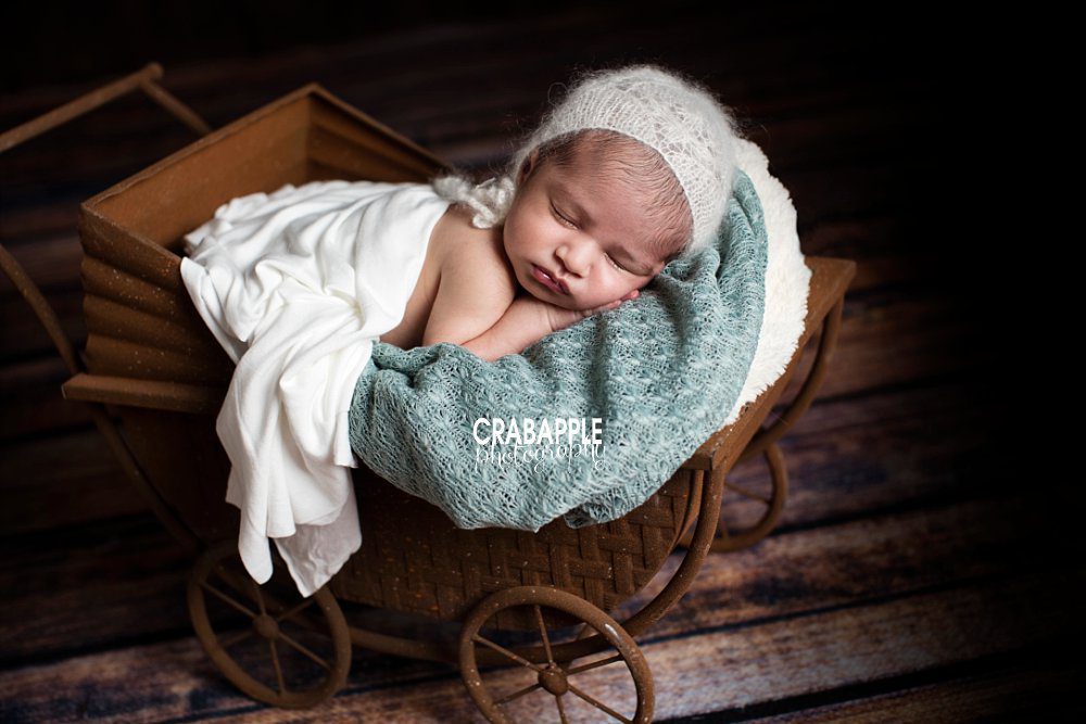 Woburn Baby Photos :: 1 Year Old Miss E · Crabapple Photography